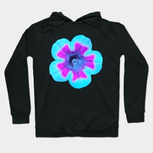 Light teal filtered flower photographic image Hoodie